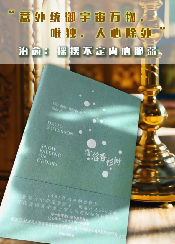 《雪落香杉樹》這本書很美!