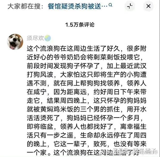 喷漆撒冥币引发轩然大波 揭开虐狗事件的背后真相