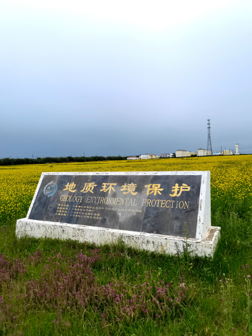 青海湖农场