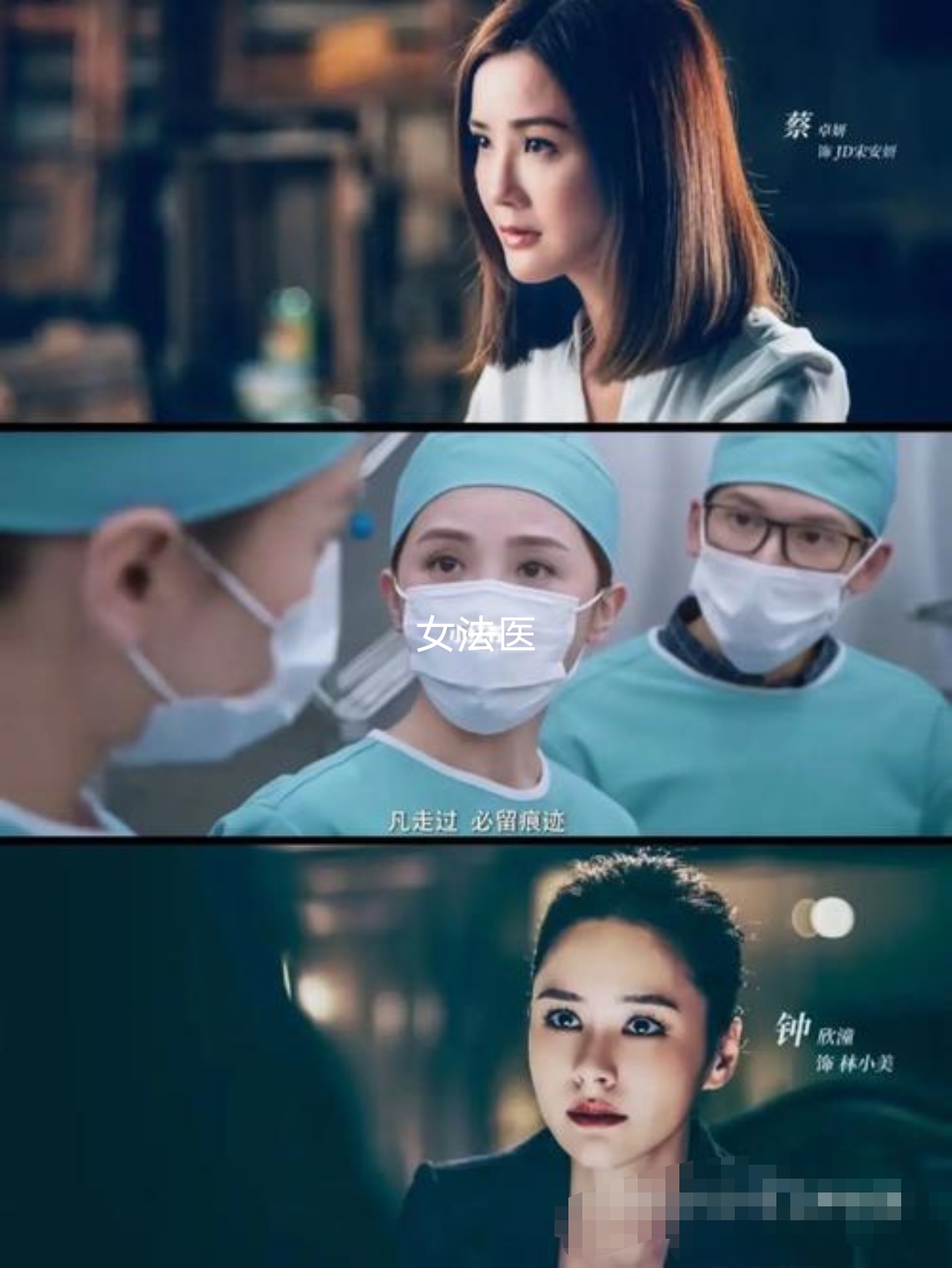 时隔十年,蔡卓妍,钟欣潼《女法医jd》相爱相杀,成功转型