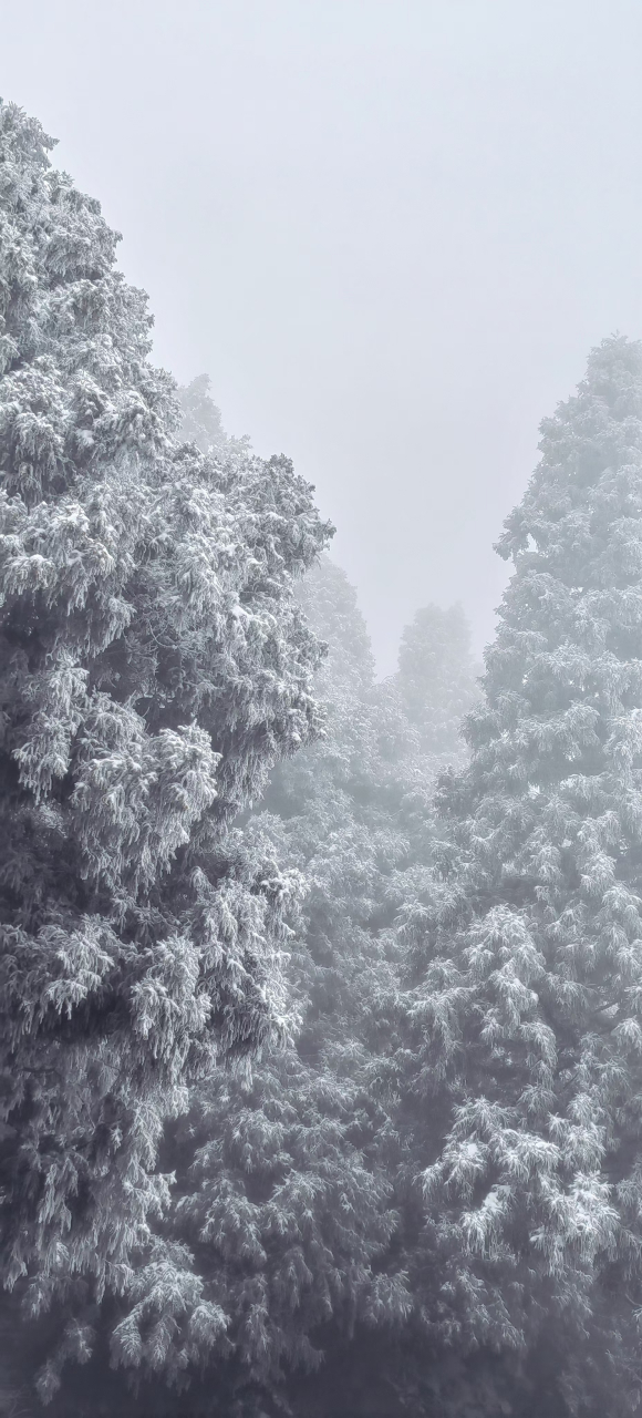 家鄉雪景,湘中明珠大熊山國家森林公園,可以看霧凇,可以滑雪#大熊山