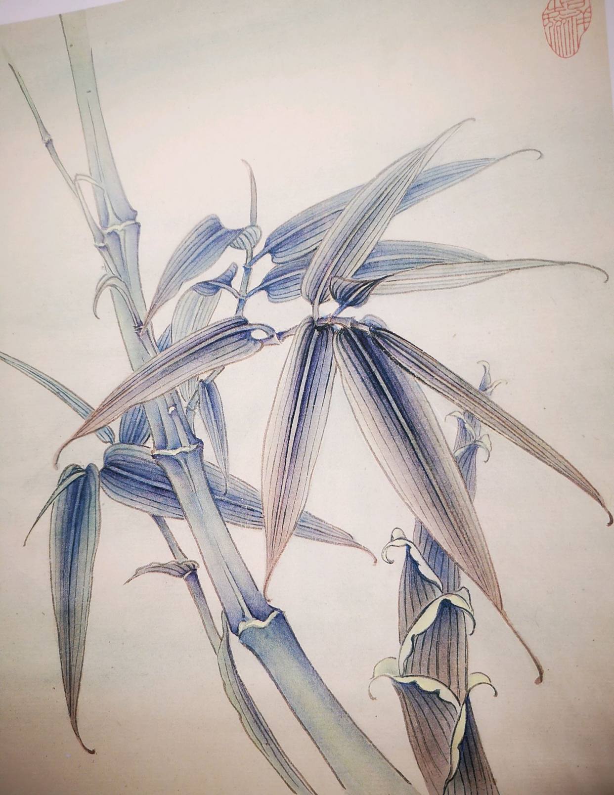 工笔画竹技法教程,值得收藏