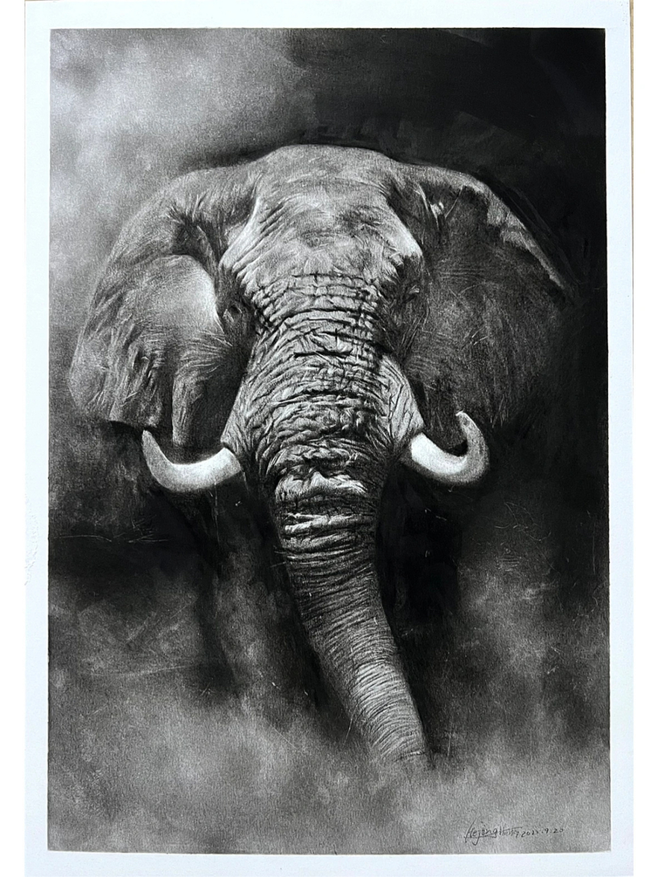 精微素描——大象,1,打型,中碳或者硬碳定出大型,位置大小,长线条分出