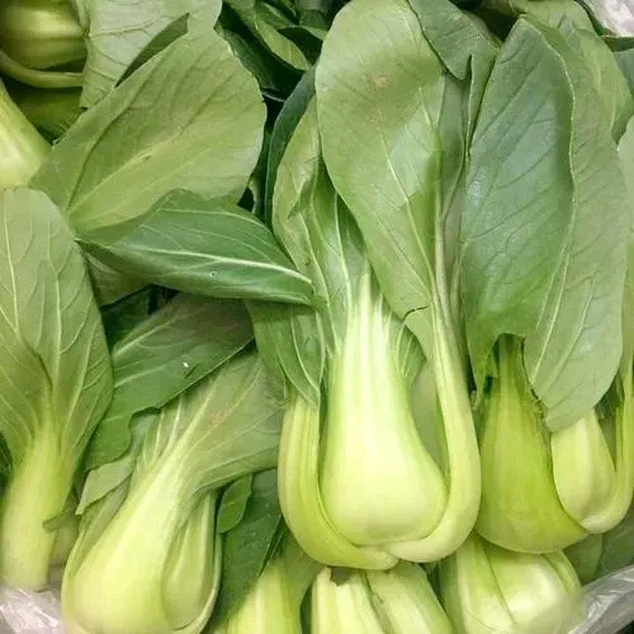 我们老家叫"油菜".你们那里叫什么? 这种菜到底要怎么做才好吃?