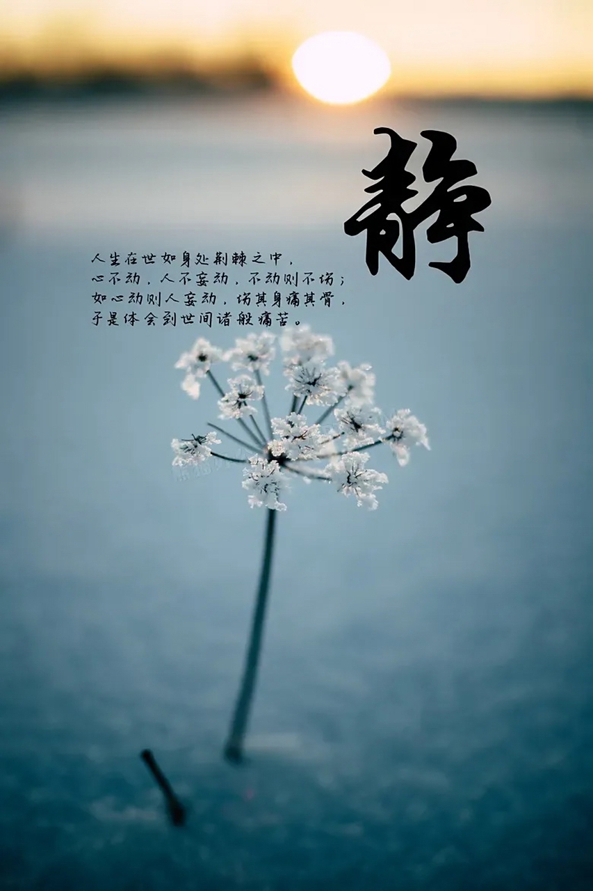 让心静下来, 你才能学会放下. 你放下了