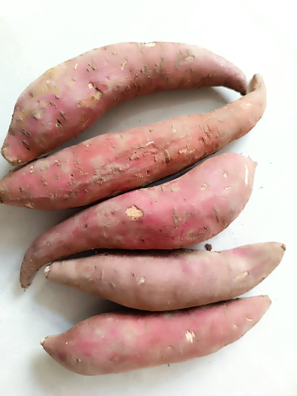 都是红薯,是因为品种吗?#笔记创作营