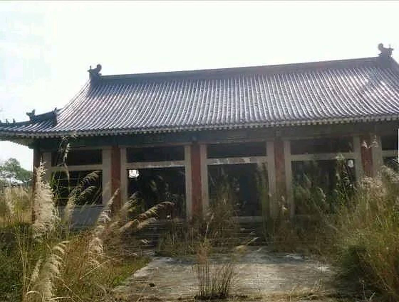 唐朝一少女去破庙避雨,没想到在破庙里遇到一个老汉,那老汉看到少女后