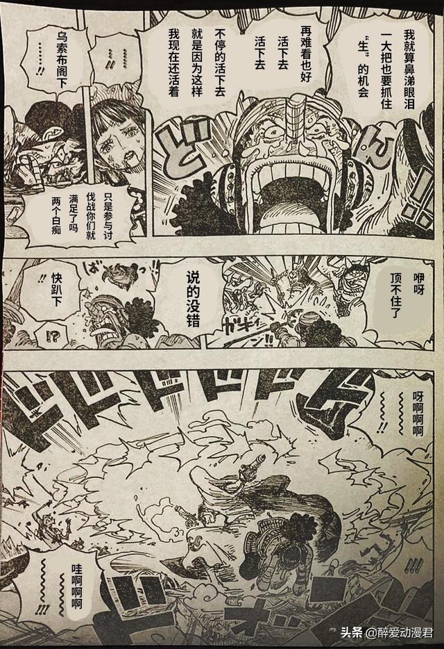 海贼王漫画