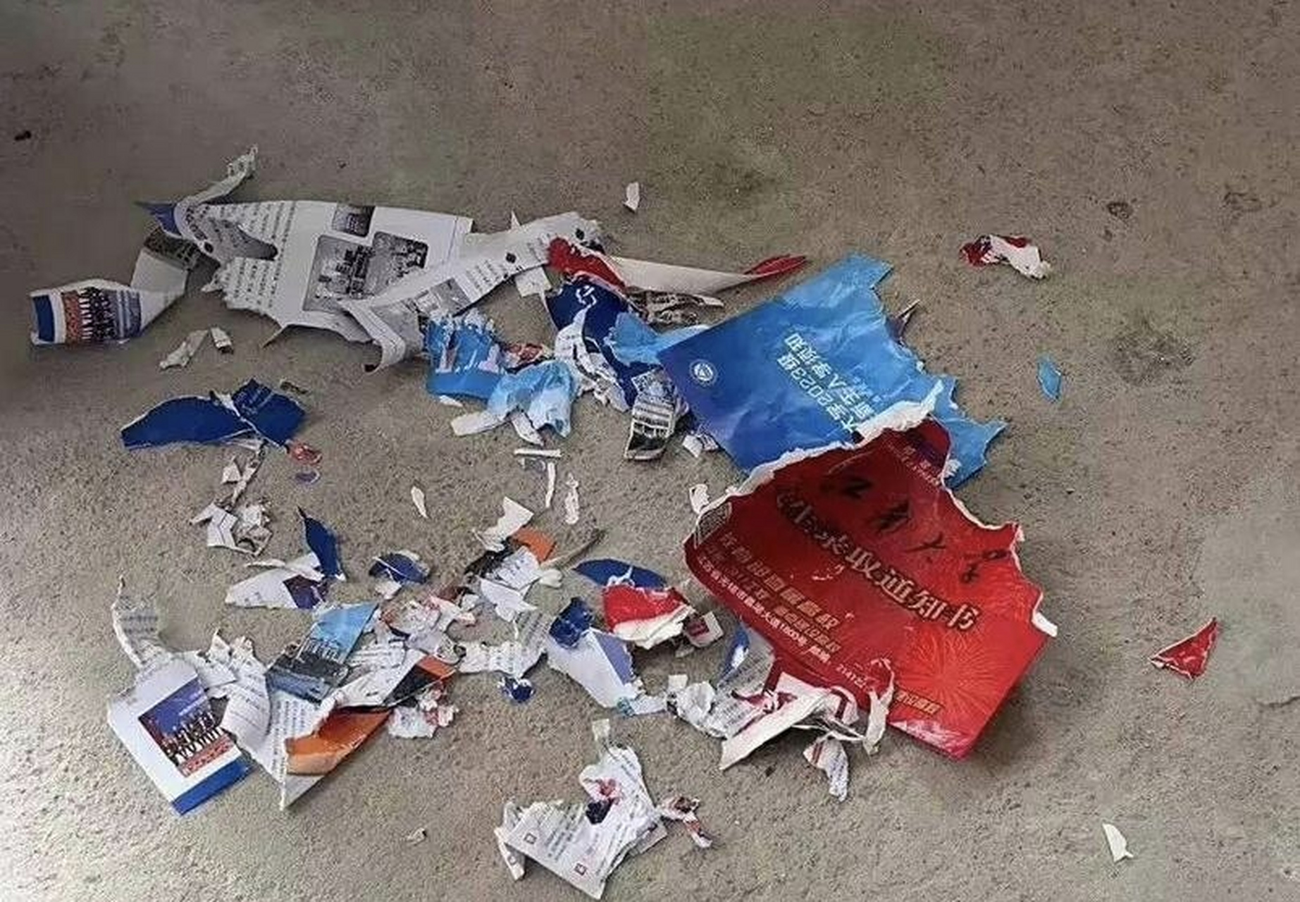 家人们,谁懂啊!录取通知书被我家狗撕了,想请你们吃肉了