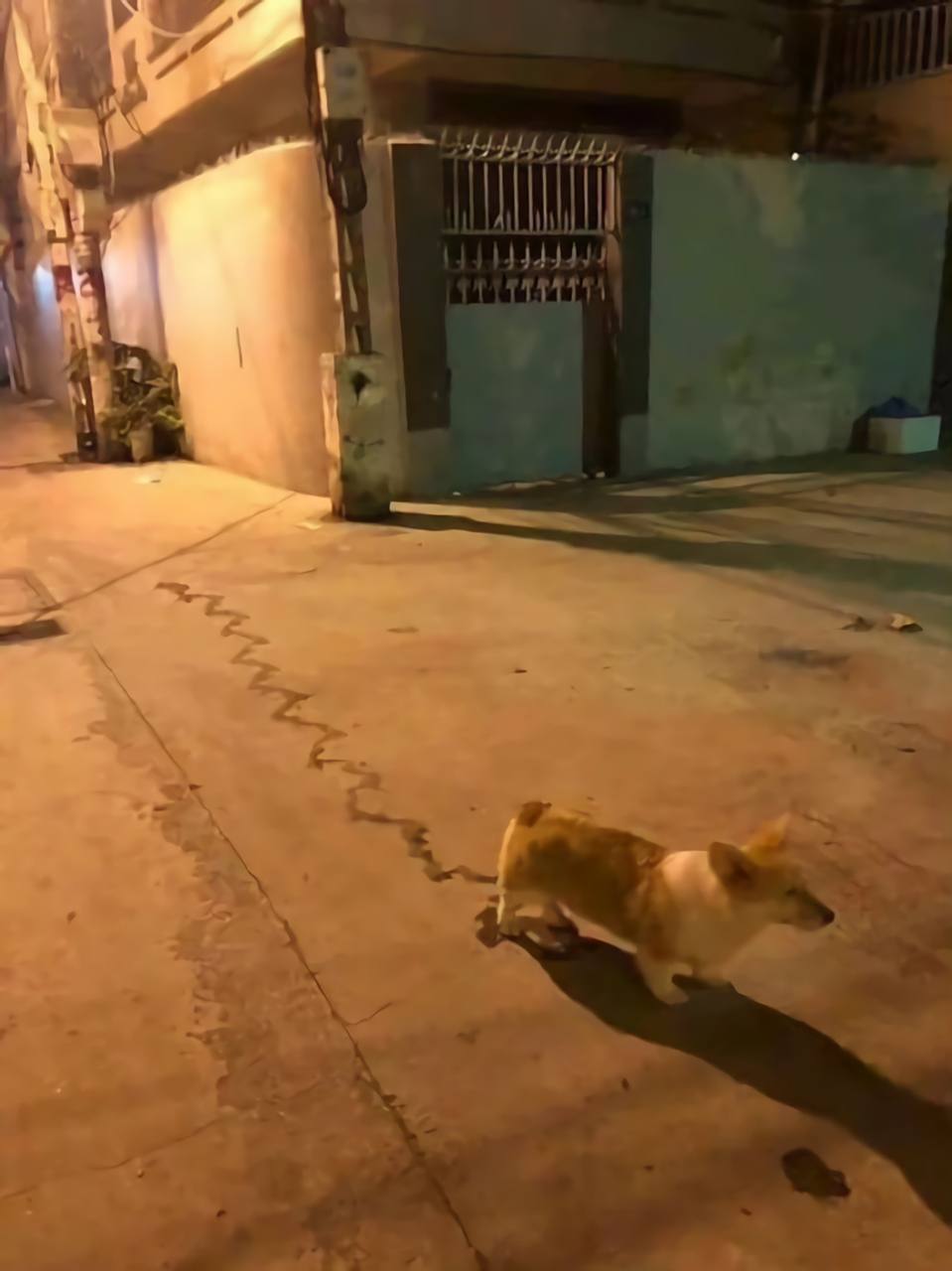 这蛇皮走位太秀了