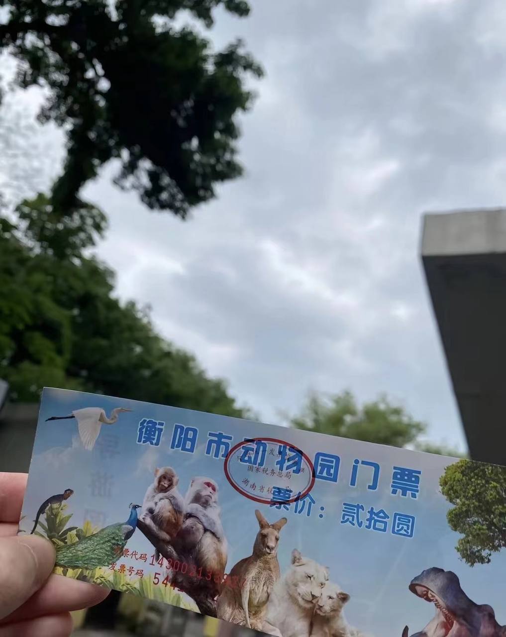 来了个动物园看了一下,感觉很不错,于是拍了几张照片发朋友圈.