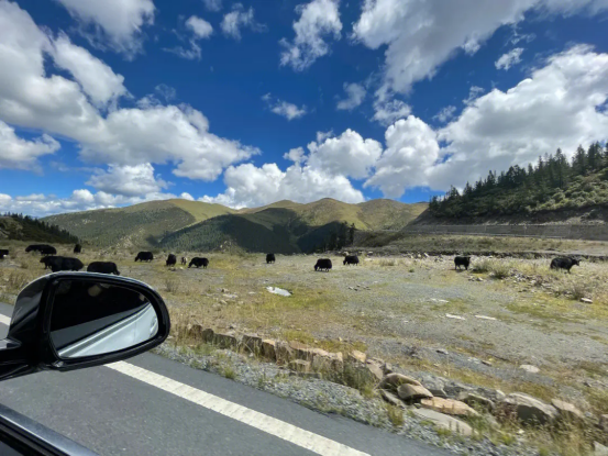 進藏的最佳道路為什麼是川進青出,這六個原因可以解釋