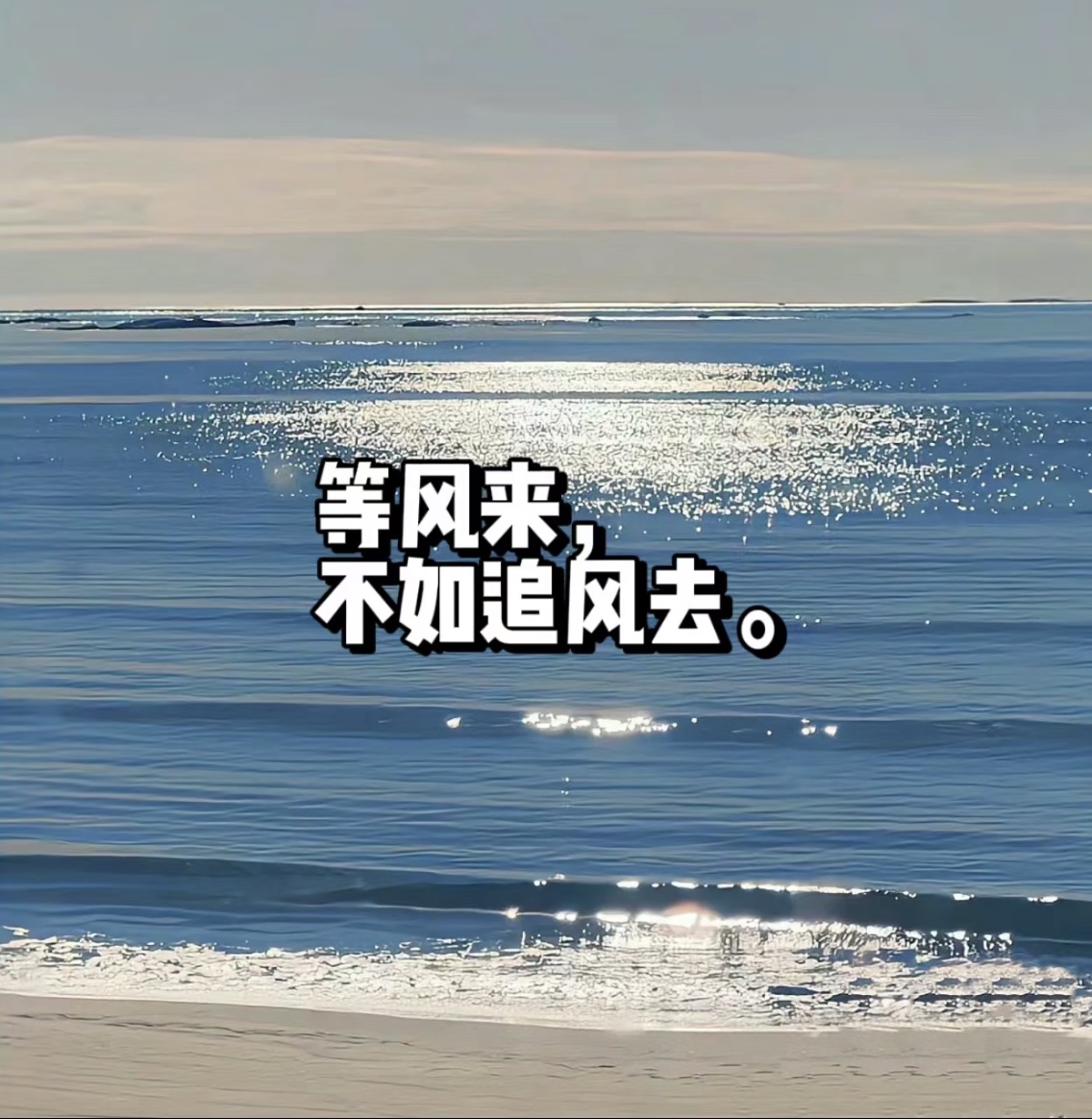 等风来,不如追风去