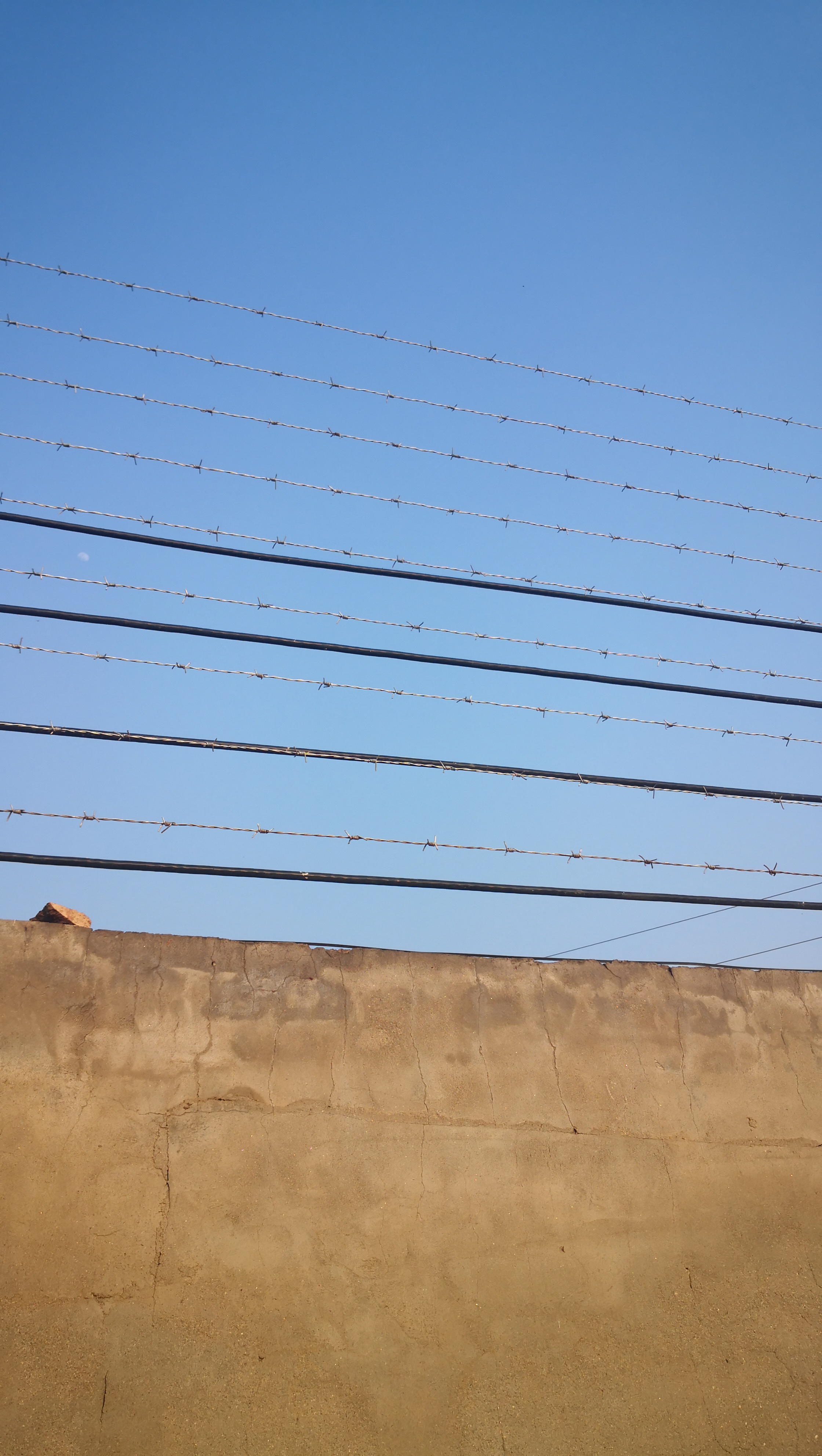 刺丝围栏多少钱一米