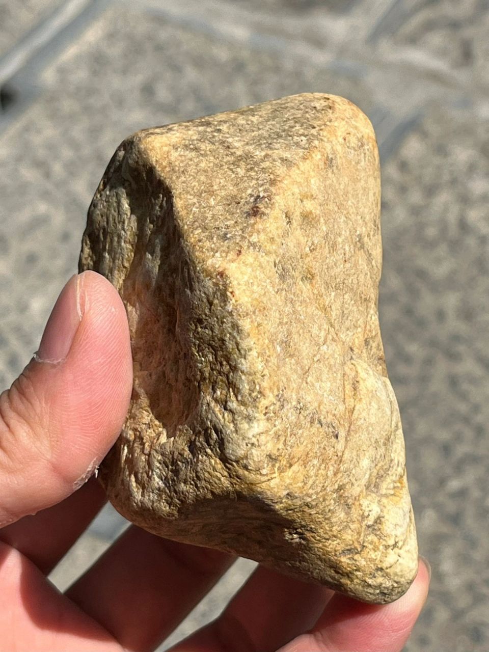 原石# #点击头像看直播# 天然翡翠红翡,大马坎场口,重量510克,冰种红