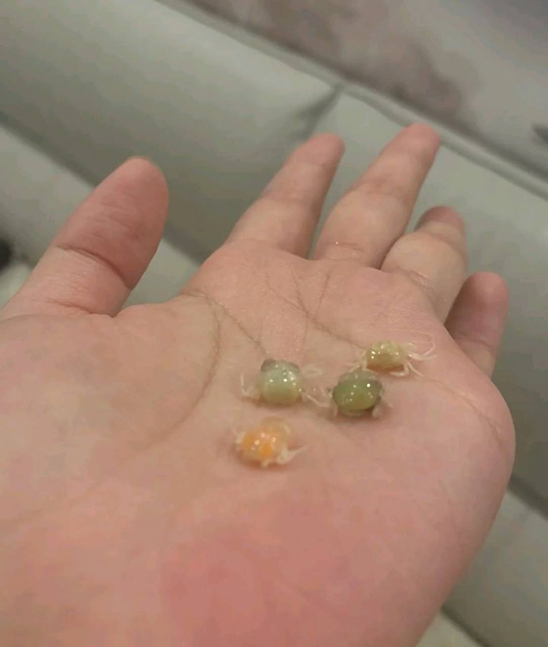 百家号星火计划