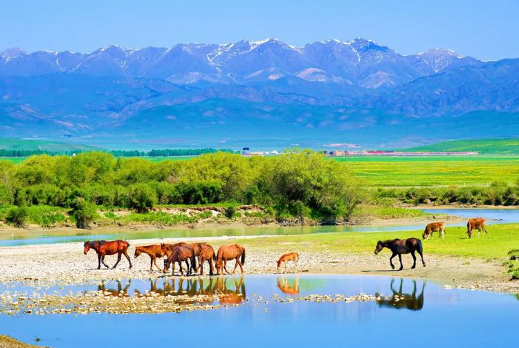 新疆伊犁州美丽风景与古城建筑观赏