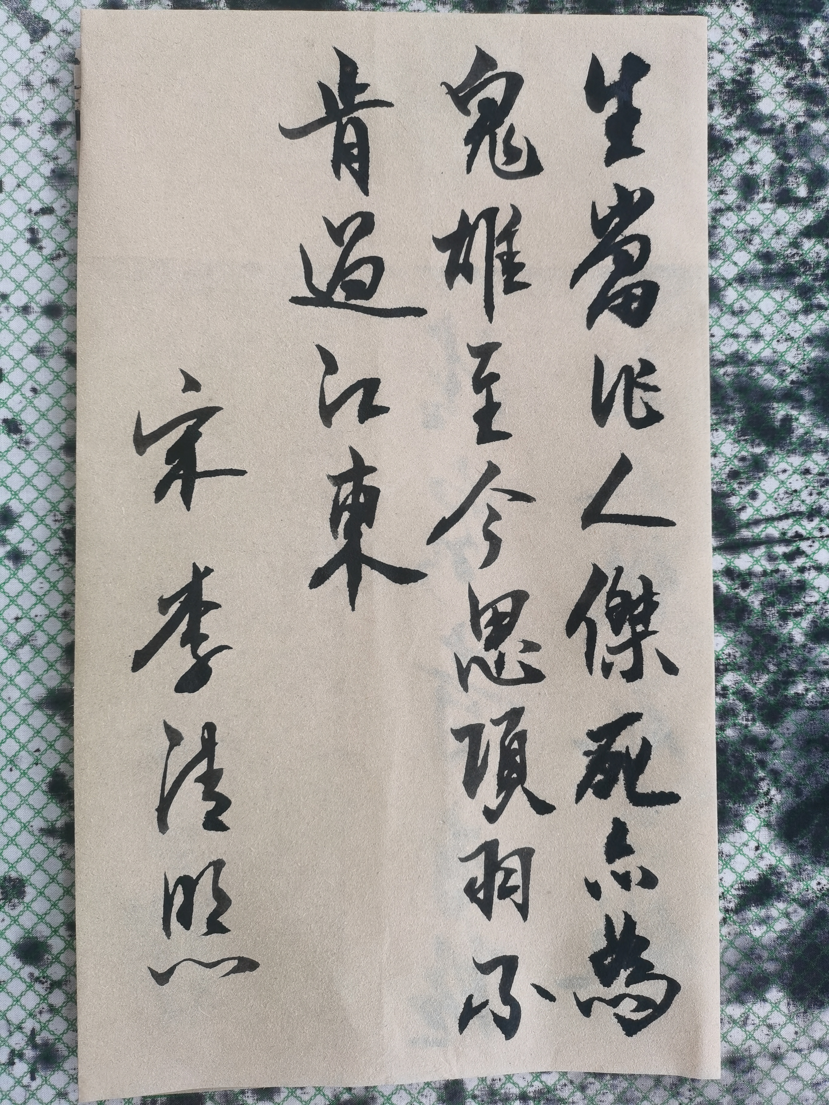 书法作品欣赏 夏日绝句