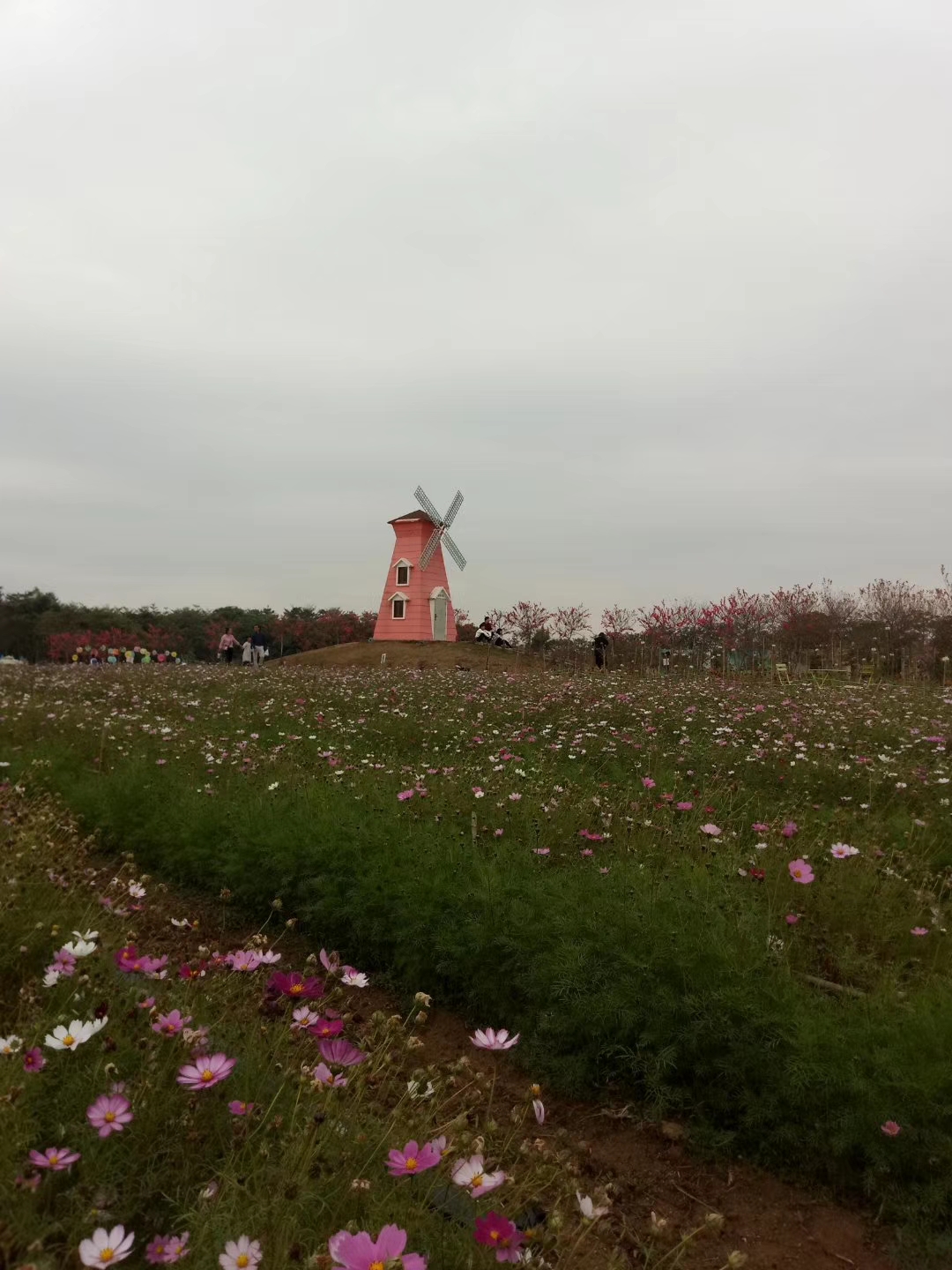 紫溪半岛坐落在惠州市惠城区三栋的三江汇合处,面积超过20万平米