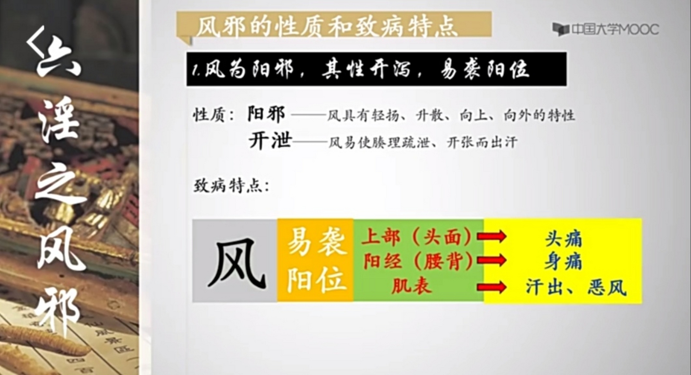 风邪的性质和致病特点1一一风为阳邪,其性开泻,易袭阳位