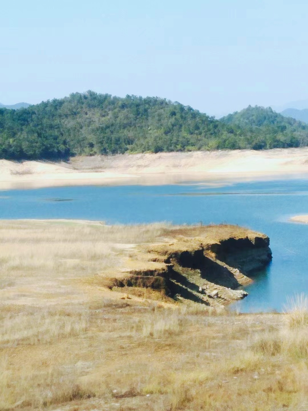 潮州饒平:湯溪水庫.賞梅喝魚湯