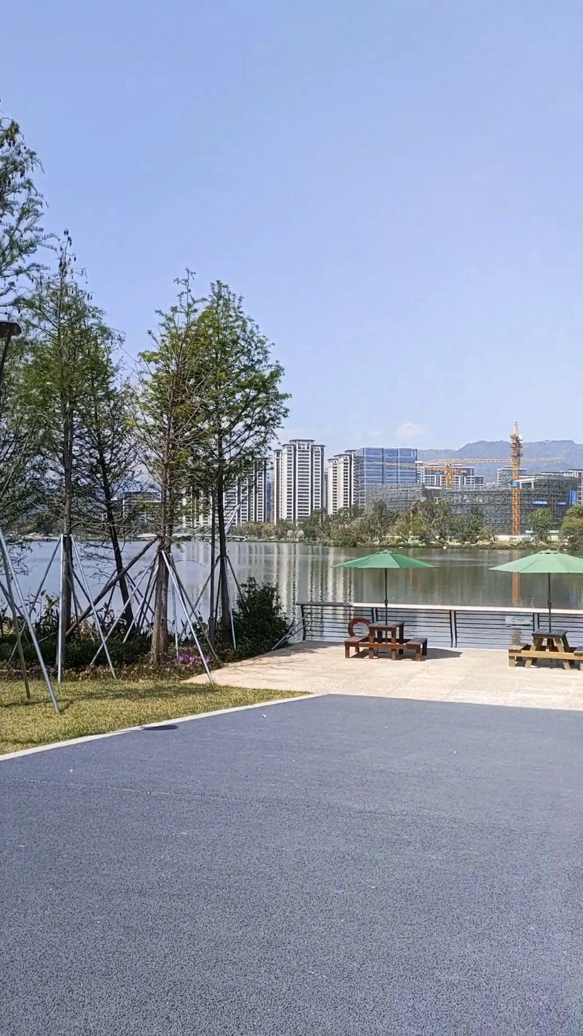 福州晋安湖公园的颜值还是很高的,虽然在建中的大摩天轮倒塌了-度小视