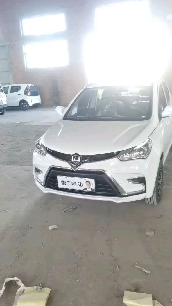 新能源雷丁小骑士电动汽车老年代步车