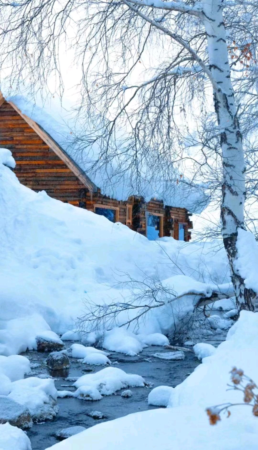 冬天来雪都阿勒泰的游玩攻略,北疆禾木喀纳斯童话世界满满初恋感