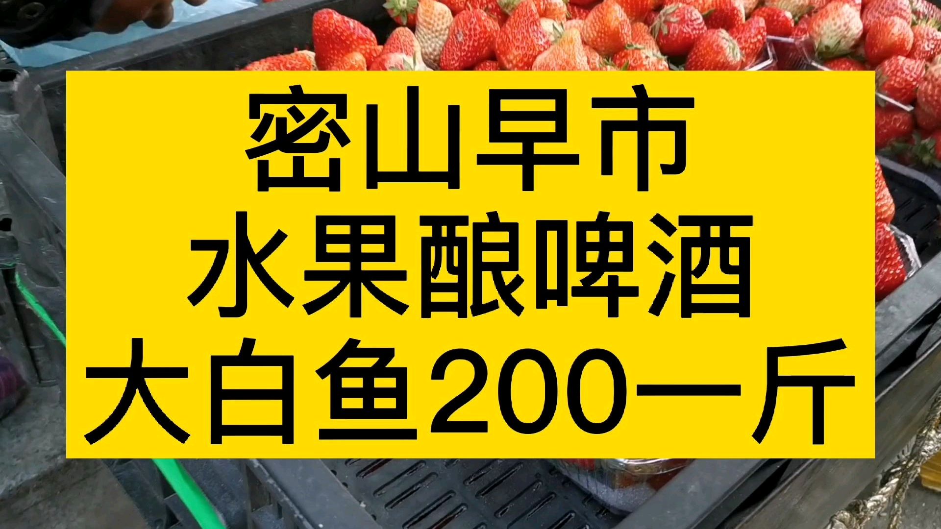 水果酿啤酒,兴凯湖鱼200元一斤,黑龙江密山早市啥都有