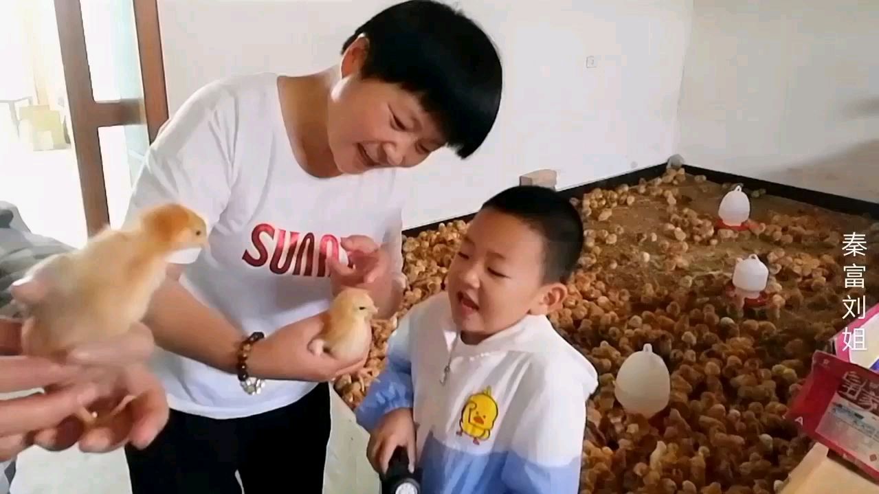 高龄宝妈给粉丝介绍完自己带小宝去捉小鸡,一天快乐并充实