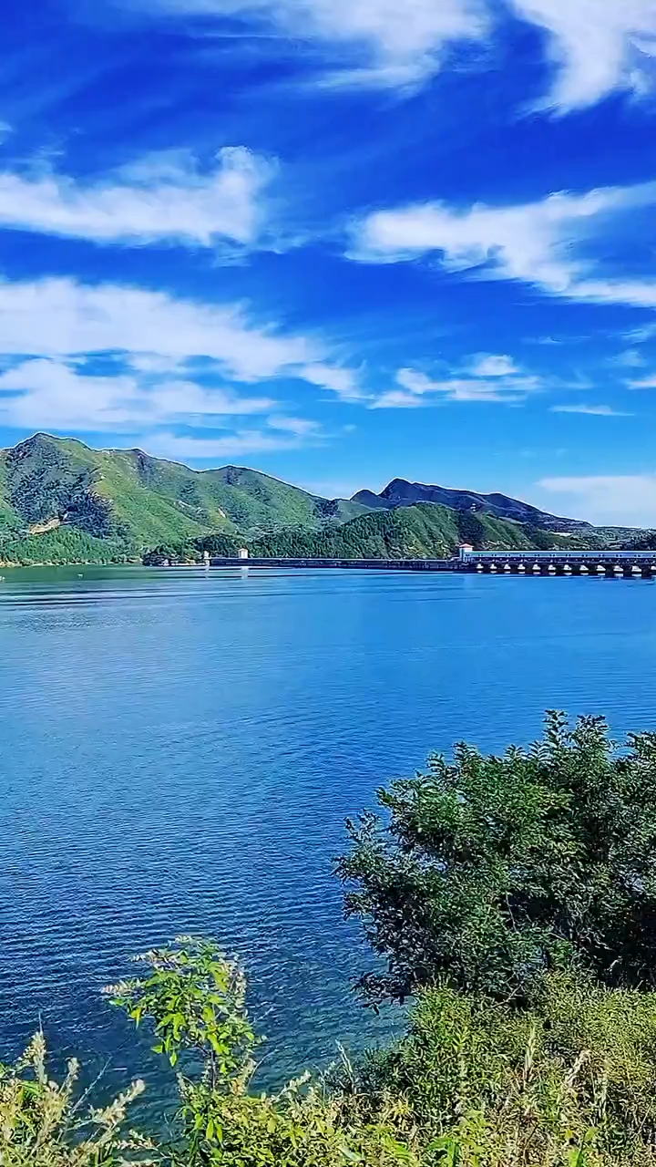 洋河天蓝蓝价格图片图片