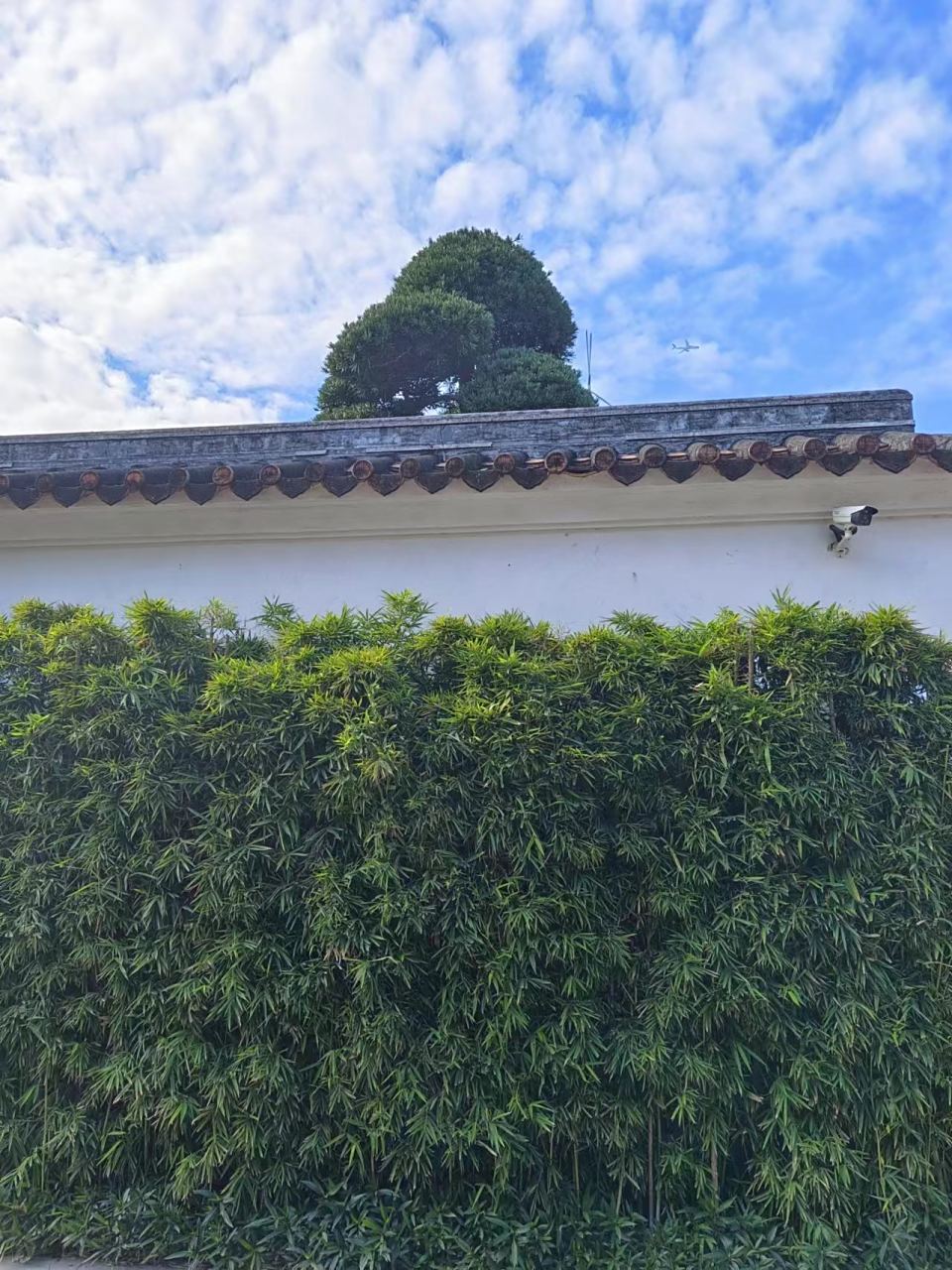 胡鑫宇虽然找到了,但是当地地毯式搜索一百多天却没有搜树林中这个