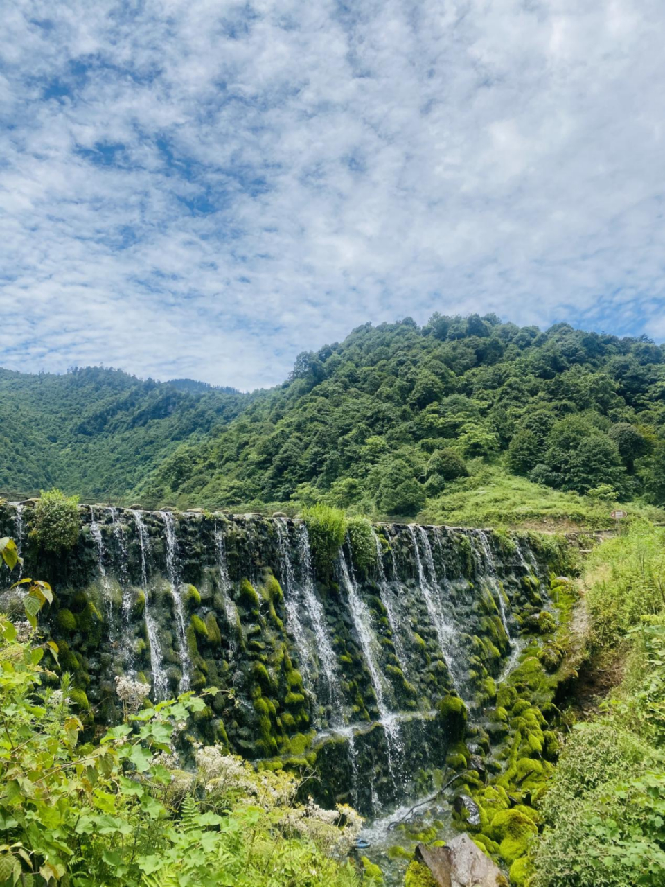 夏日生活创作季# 在四川省小凉山深处,黑竹沟是曾被称为"中国百慕 ""
