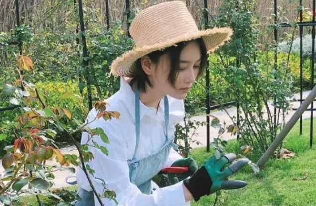 张馨予的豪宅火出圈了,一个菜园子就圈粉百万,实在太羡慕了