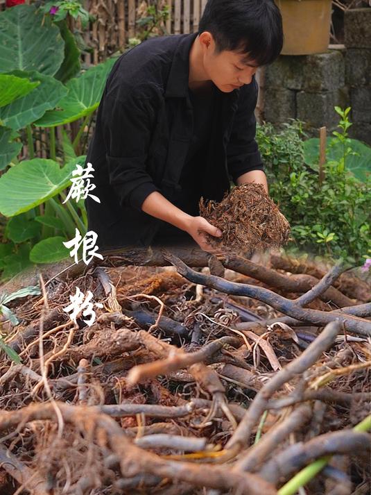 蕨根粉制作过程图片