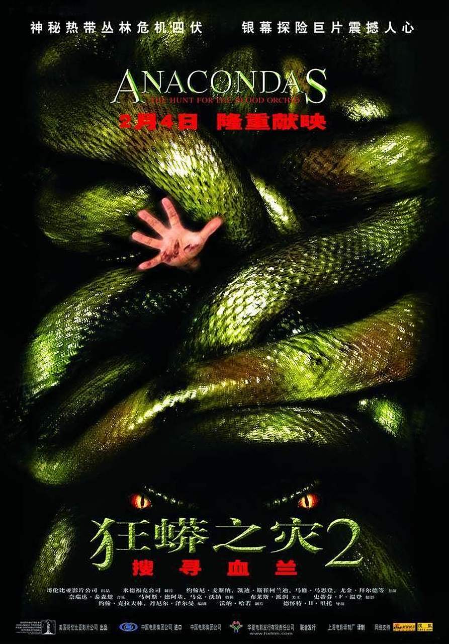 老电影狂蟒之灾2《寻找血兰》,2004年上映,我当时看了一个盗版的碟片