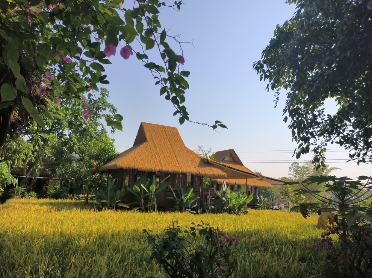 西双版纳老蘑菇庄园