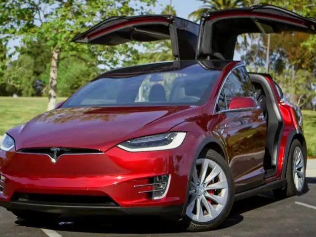 特斯拉蝴蝶门是哪一款车