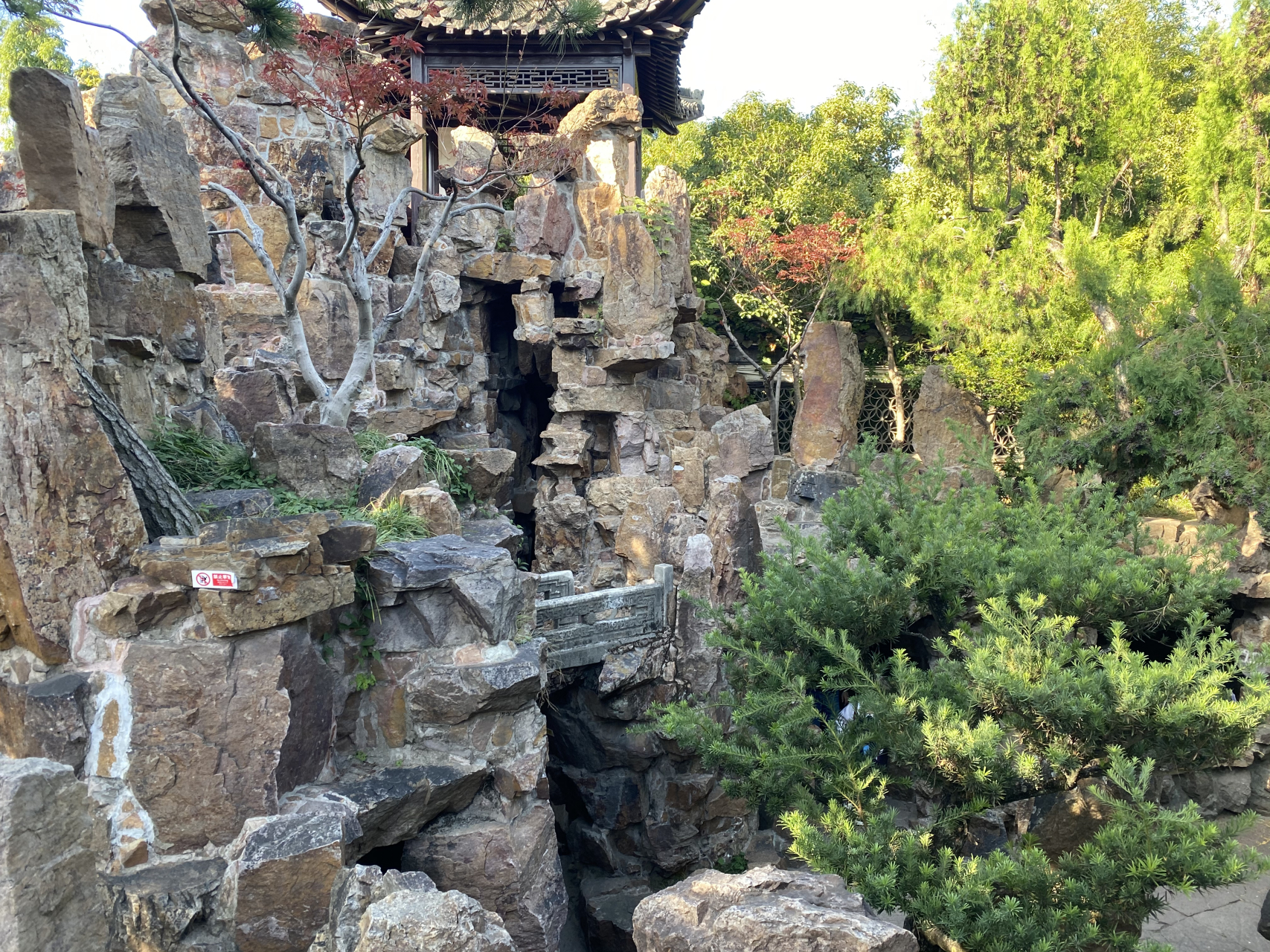 扬州个园的秋景美不胜收.黄石的粗旷,枫叶的雅致,相映成趣.