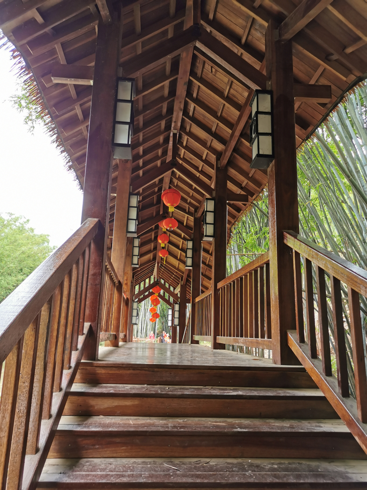 粤西小城风景之信宜旺同竹林