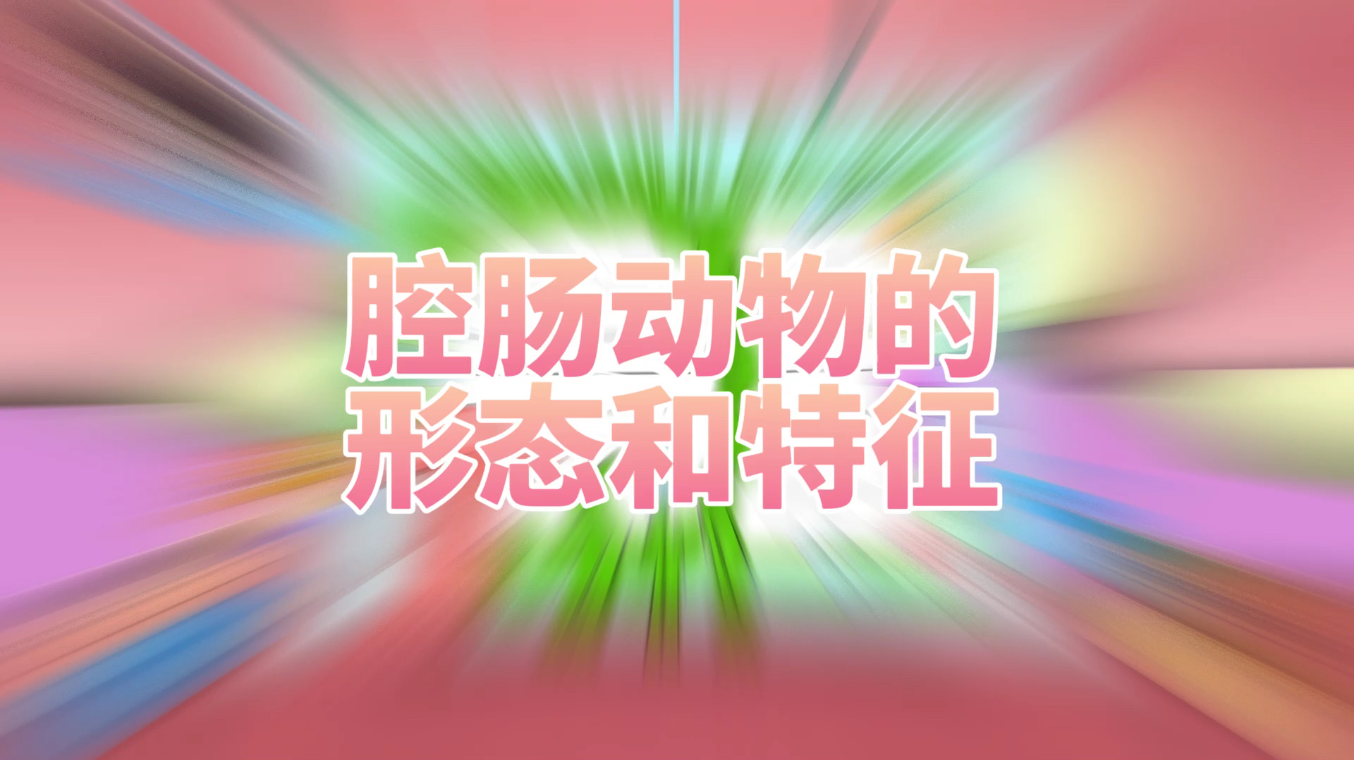 「动物手抄报」腔肠动物的形态和特征手抄报模板简笔画教程