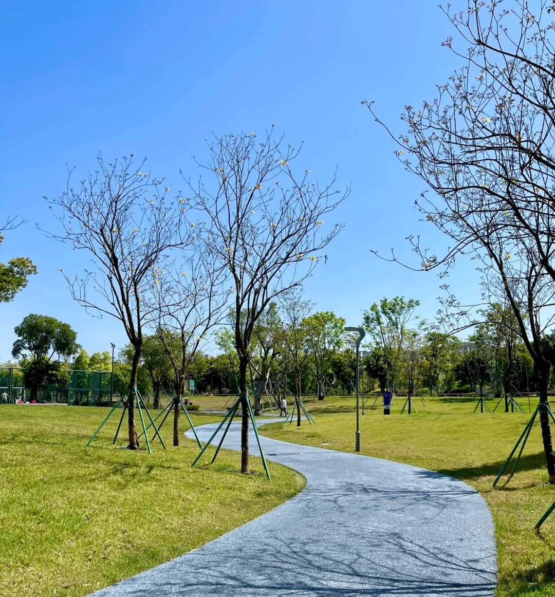 福州——露营南江滨生态公园