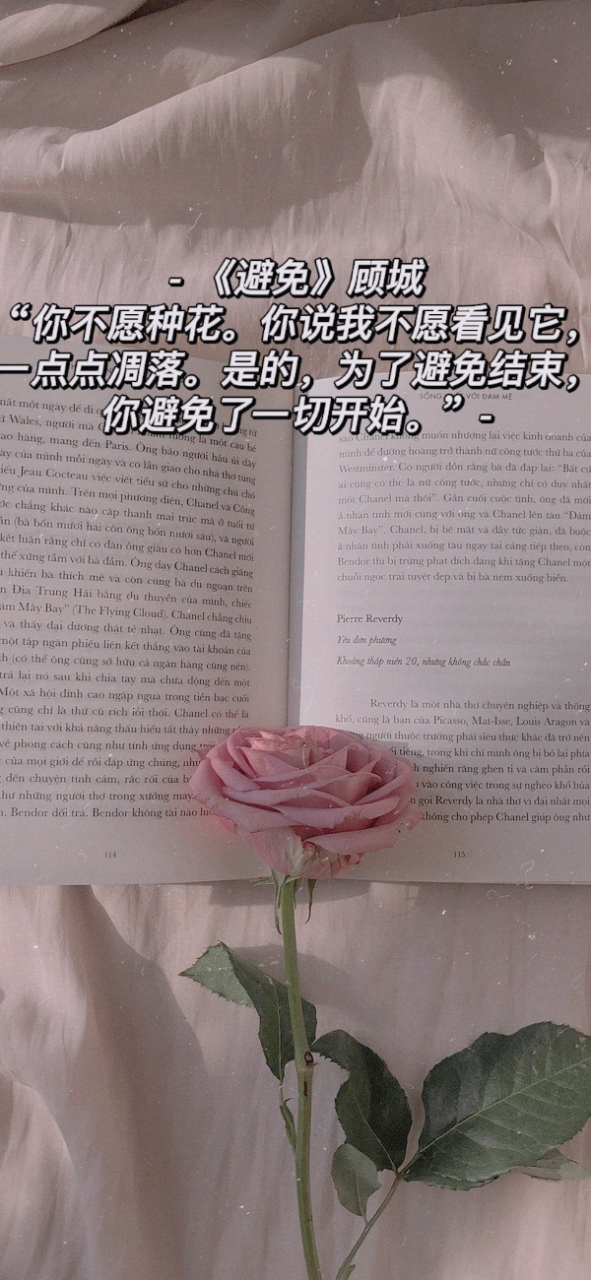 《避免》—顾城