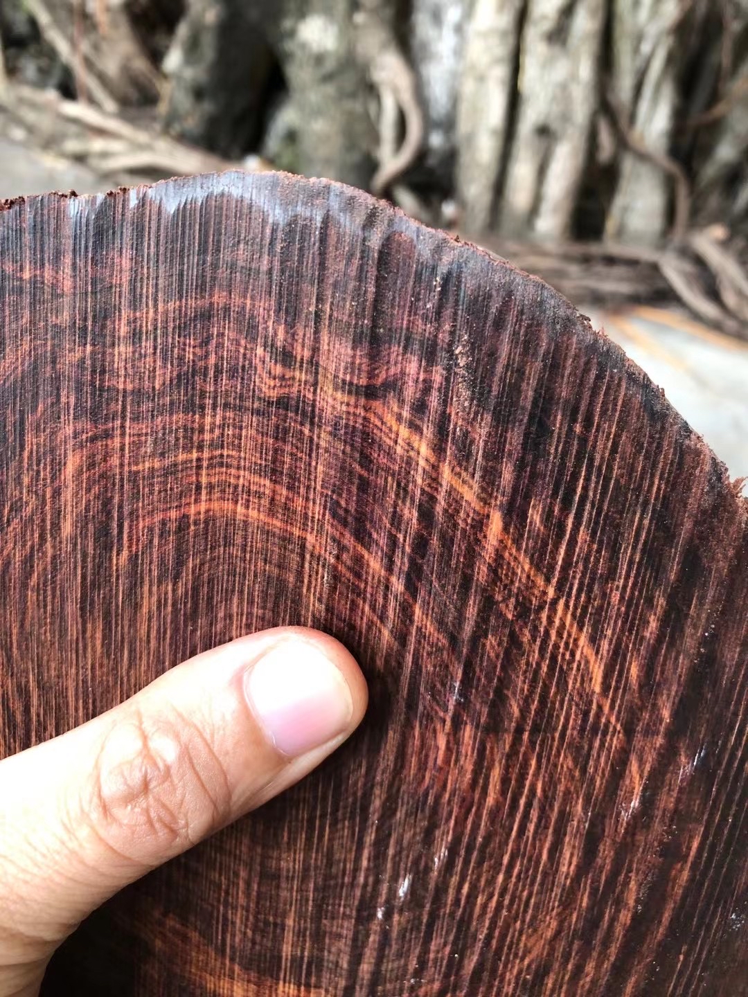 黄花梨千年大料不管是越是海精不经典我不管 我就喜欢这一款