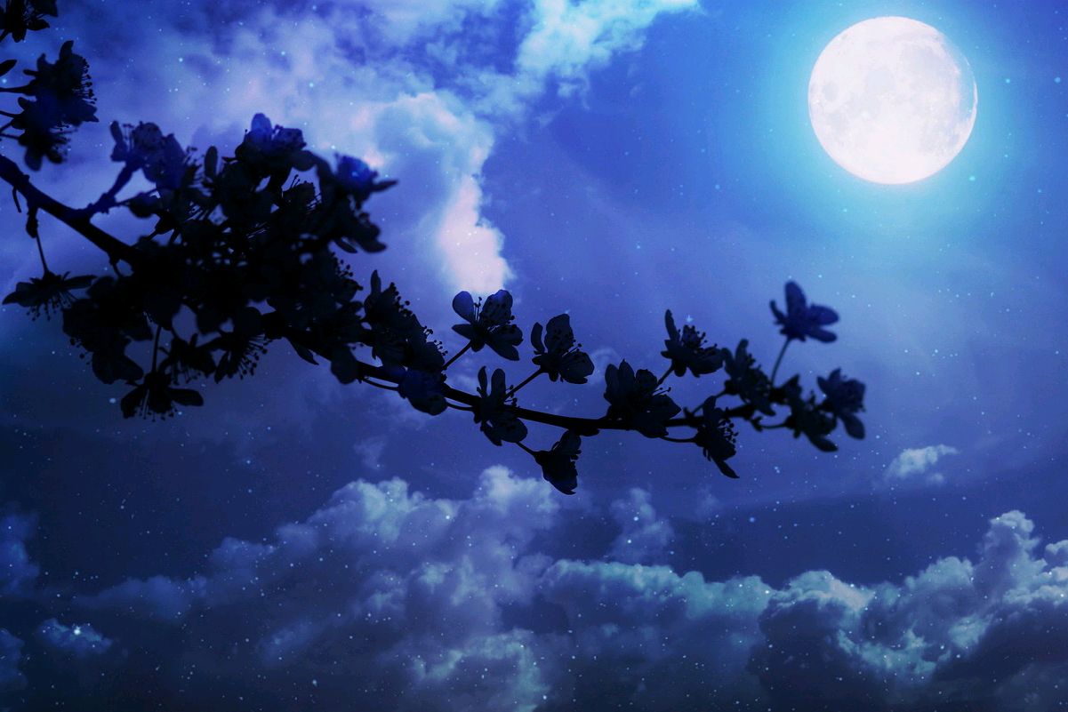 小城的仲夏夜之梦