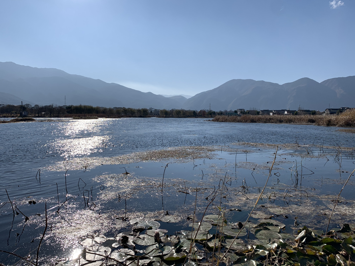 洱源东湖图片