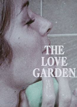 爱情花园