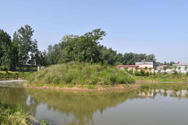 西平县芦庙乡潘老庄村举行"潘老庄文化苑"开园典礼