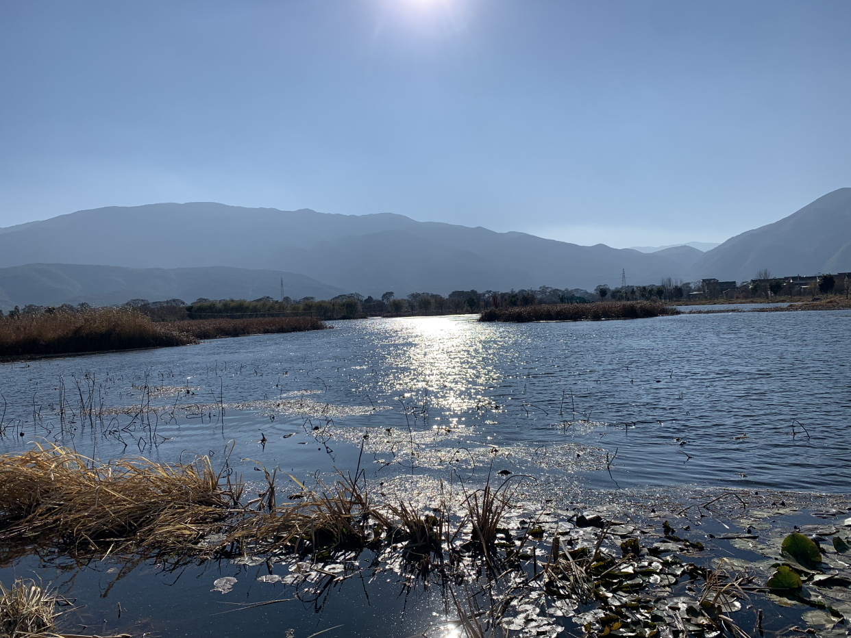 大理潘正伟先生冬日游洱源东湖