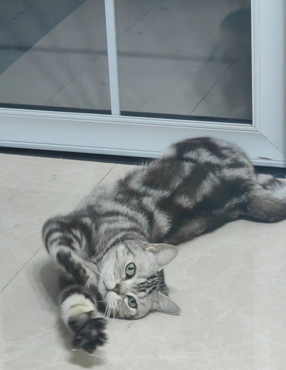 咋了?叫我有事?